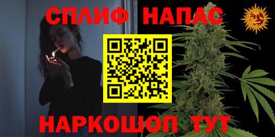ГАЛЛЮЦИНОГЕННЫЕ ГРИБЫ Гусев