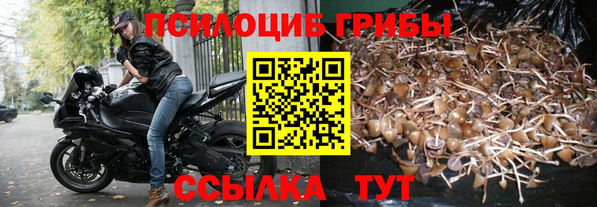 Галлюциногенные грибы MAGIC MUSHROOMS Нефтеюганск
