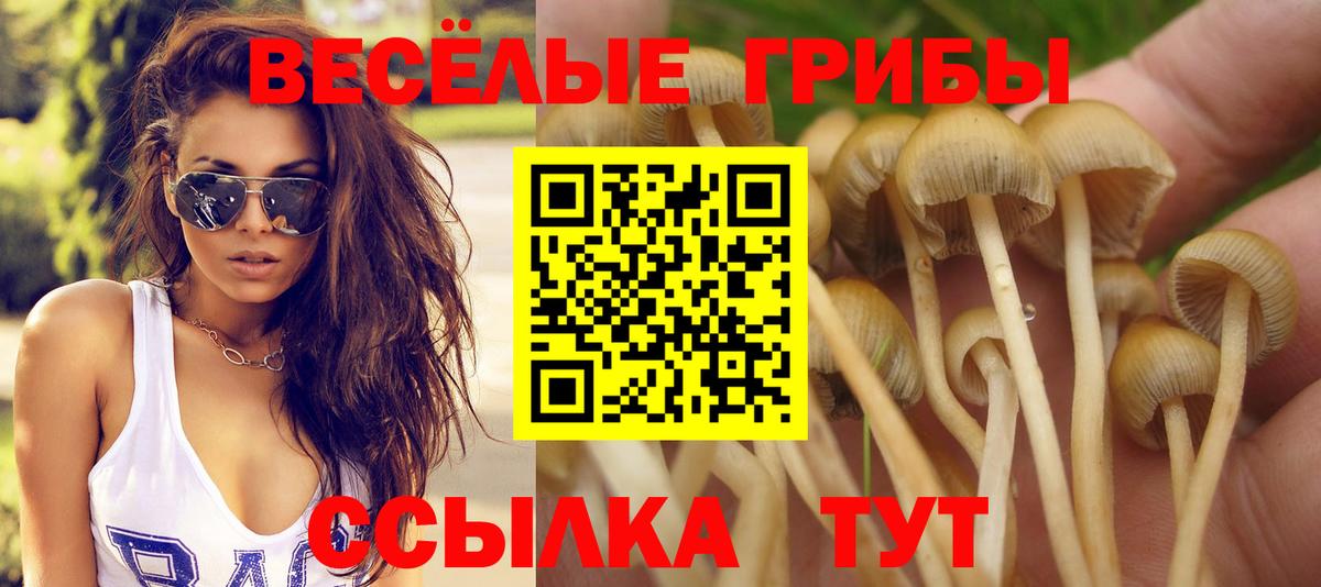 Нефтеюганск  Галлюциногенные грибы MAGIC MUSHROOMS  Вход с VPN 